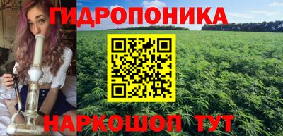 Альфа ПВП Краснознаменск